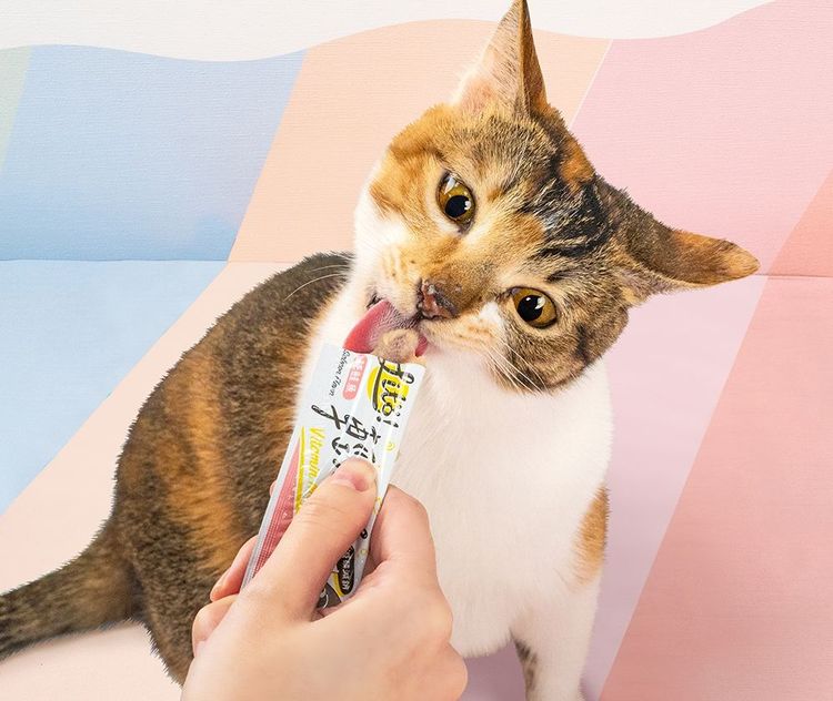 怪獸部落輕肉泥，原價59元/包，每包4條入，9/30-10/4特價2包89元。業者提供