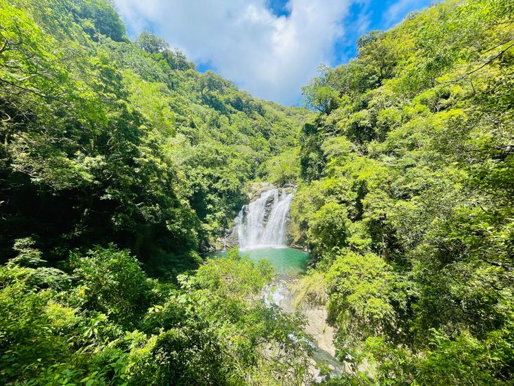 雙流國家森林遊樂區擁有森林生態、清澈乾淨水質及豐富魚類。屏東林管處提供