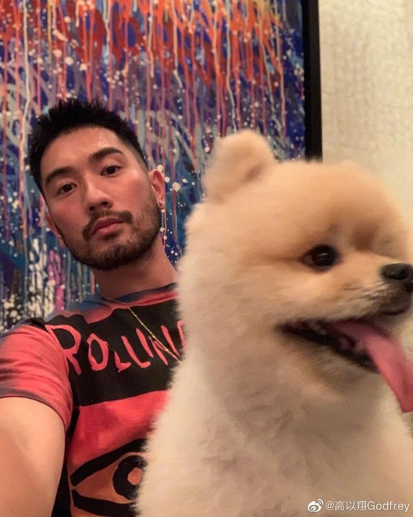 高以翔生前很疼愛狗兒子帝歐。翻攝高以翔微博