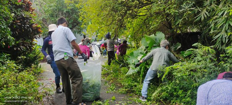 社區居民攜手清除小花蔓澤蘭。羅東林管處提供