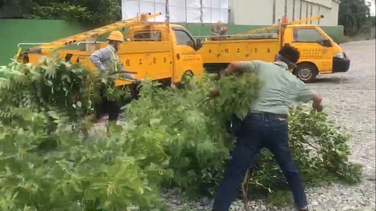 台電人員清理路樹。民眾提供