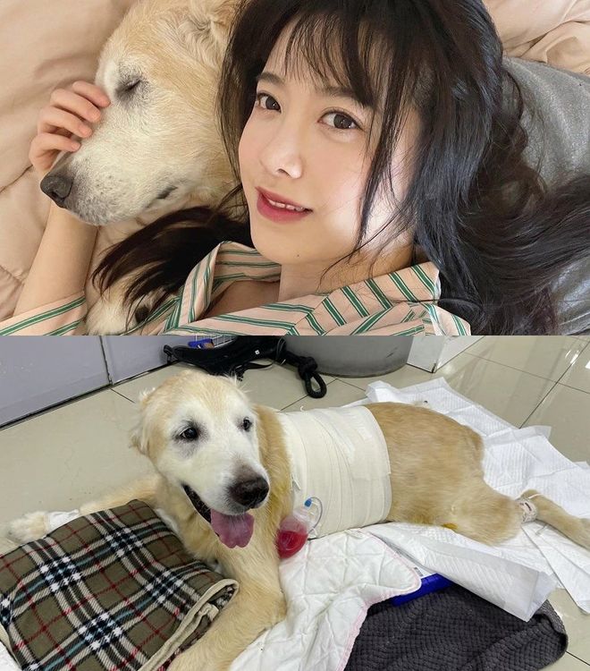 具惠善9月在IG發文，透露愛犬馬鈴薯到天國了。翻攝具惠善IG