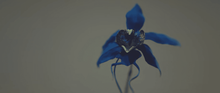 劇中發生離奇命案，似乎都與蘭花有關。翻攝Netflix