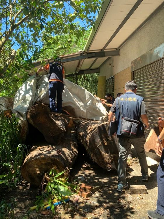 張嫌在自家土地上，囤放大批漂流木並以帆布覆蓋。讀者提供