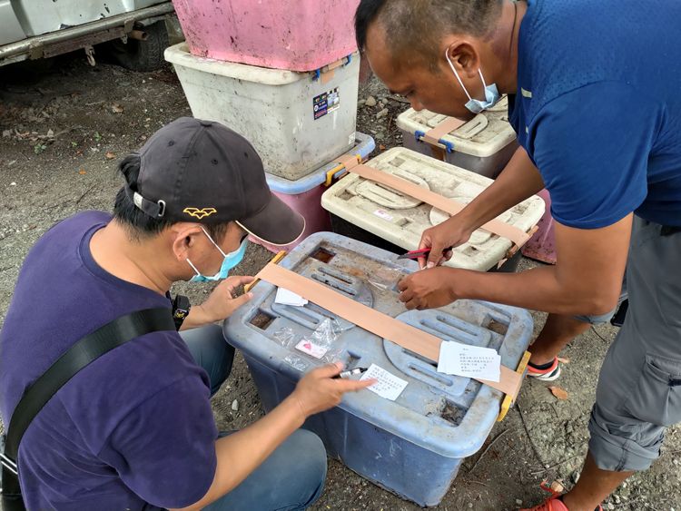 贓木標註。台東林管處提供