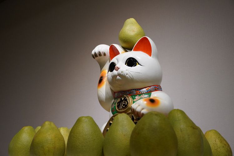 疫情讓不少哈日族思念日本美景，但現在有機會一解相思之愁啦。引自日本交流協會