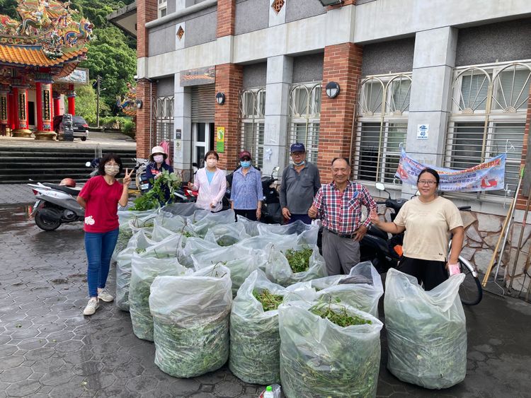 蘇澳鎮朝陽社區清理小花蔓澤蘭豐碩成果。羅東林管處提供