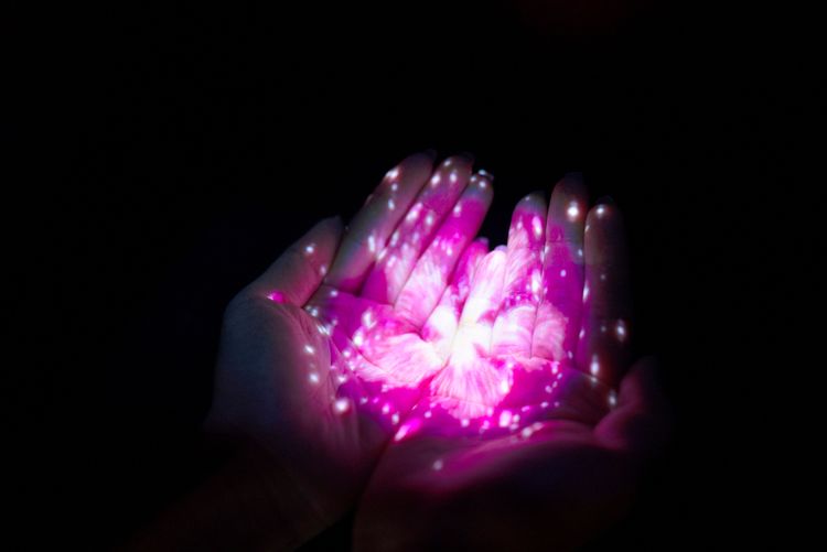 將平淡無奇的酒精消毒動作加入互動藝術，伸手消毒的同時，手中便會出現美麗花朵的投影。「京都市台灣推廣事務所提供」與「©︎naked inc.」提供