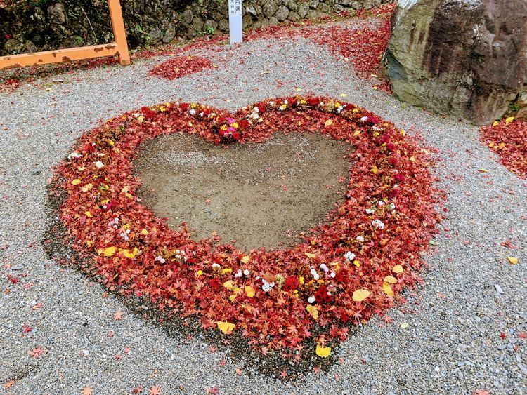 擁有1300年歷史的丹波國一之宮「出雲大神宮」，是知名的結緣神社。京都府觀光連盟提供