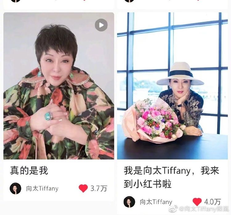 向太近來在社群平台曬出台北行vlog。翻攝自向太微博