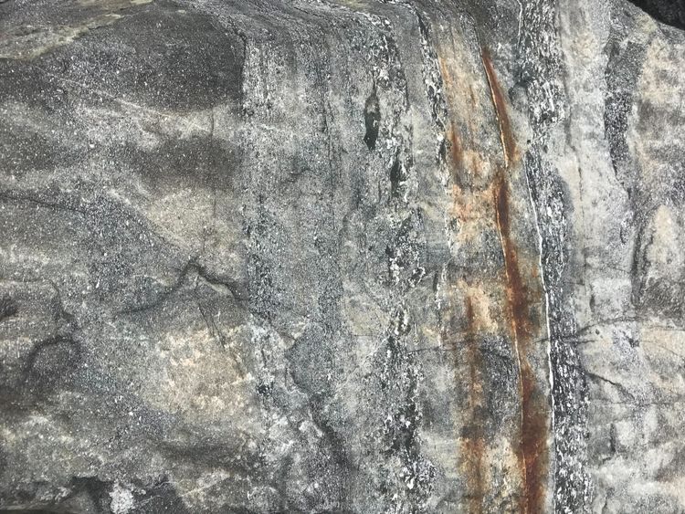 圖四：宜蘭縣東澳源頭山花岡片麻岩落石，其中密佈著多個方向的小斷層與裂縫。賴發奎提供