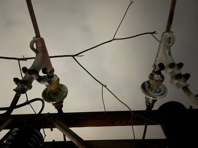 台電昨晚因樹枝碰觸設備，造成鼓山區3304戶停電，經派員搶修已復電。台電提供
