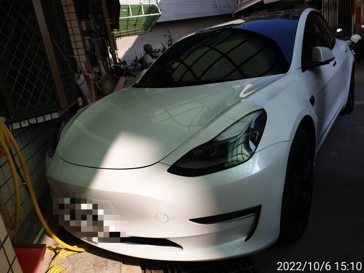 遭梅花鹿踩踏的特斯拉電動車。讀者提供