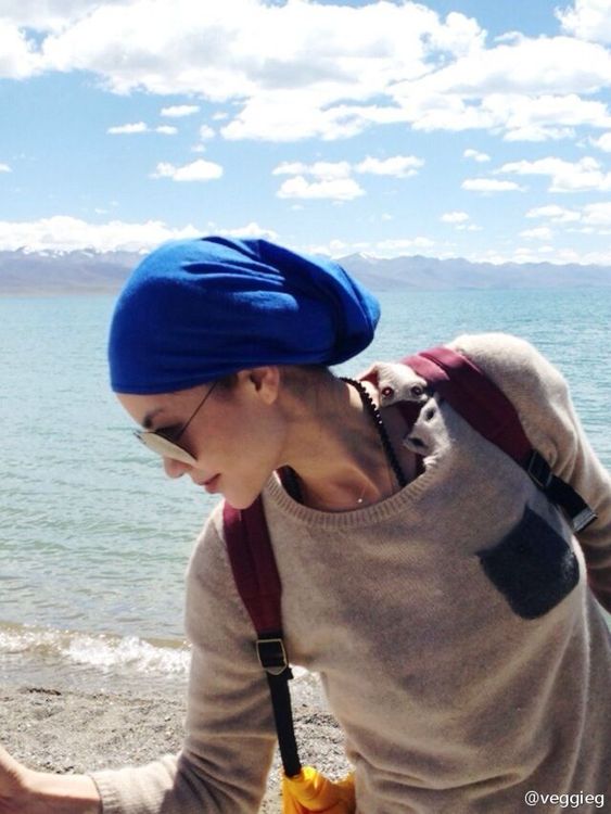 王菲嗓音空靈，近年鮮少開金嗓。翻攝王菲微博