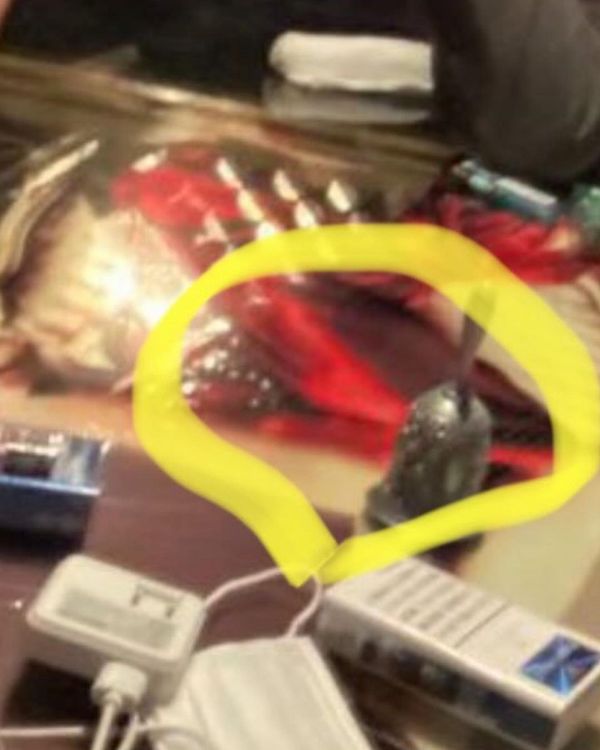 東谷義和說黃圈處是用布遮住的古柯鹼。翻攝東谷義和IG