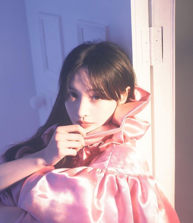 鄭爽演藝事業全面停擺。翻攝鄭爽IG