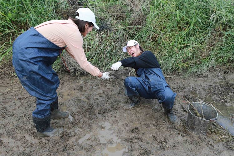白家綺（右）穿青蛙裝進濕地拔除野草不慎往後摔倒。民視提供