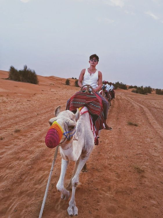 森田體驗騎駱駝。CHECK2CHECK提供