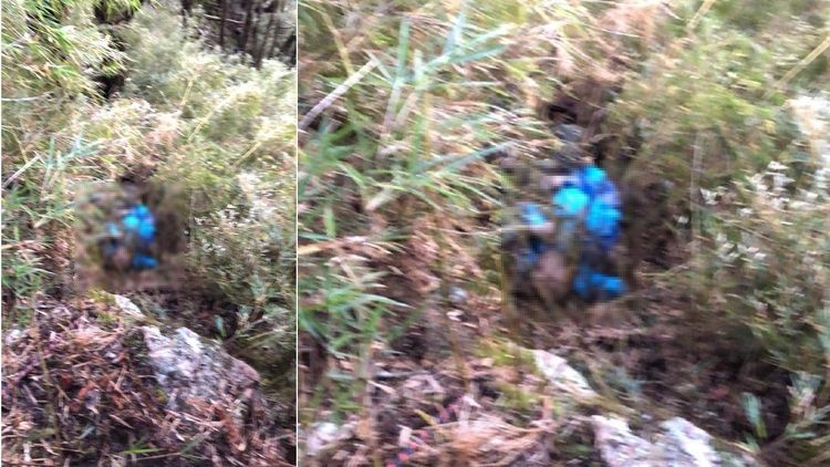 搜救人員尋獲陳伯均遺體。民眾提供