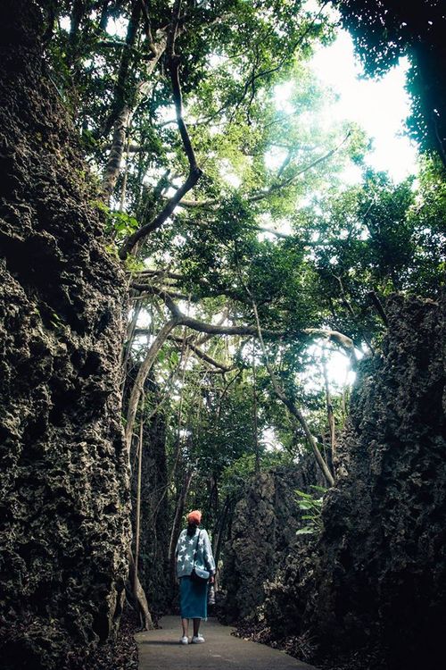 墾丁國家森林遊樂區是國內具地質景觀及熱帶季風林的園區。屏東林管處提供