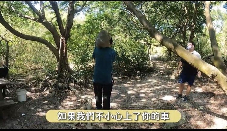 動保人士指，柴山獼猴偶爾會跳上登山客背上，可能是因好奇或對背包食物有興趣。台灣獼猴共存推廣協會提供
