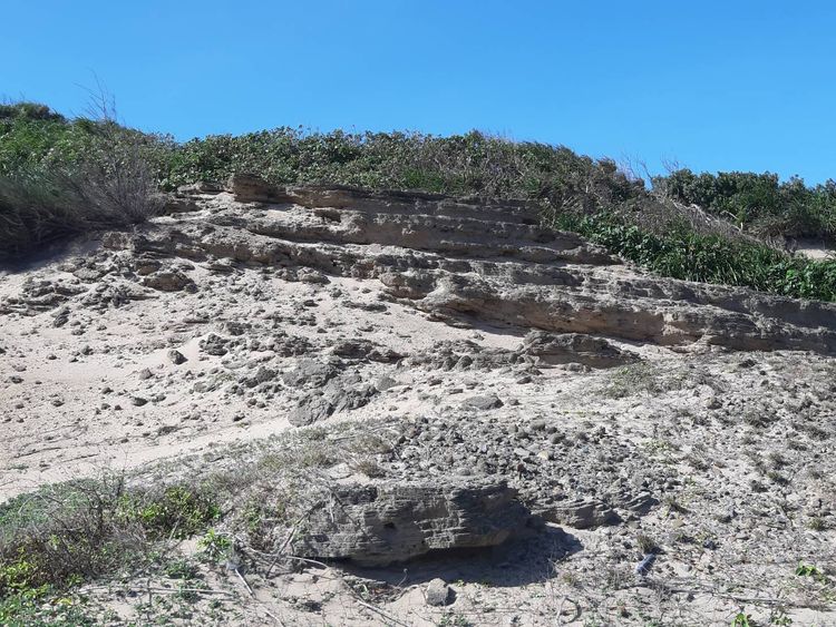 古砂丘顯現出歲月的痕跡。墾管處提供