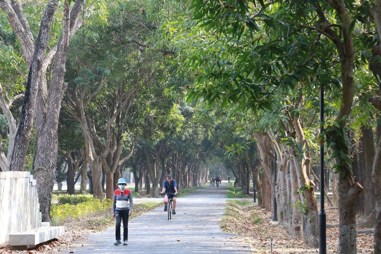 大隆田生態文化園區。市府提供