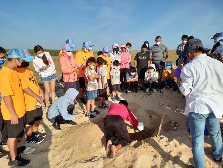 海龜調研人員開挖卵窩沙坑救援，同時安排當地國中小師生觀看，並藉機宣導環境教育。農漁局提供