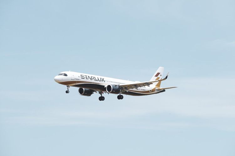 星宇航空。業者提供