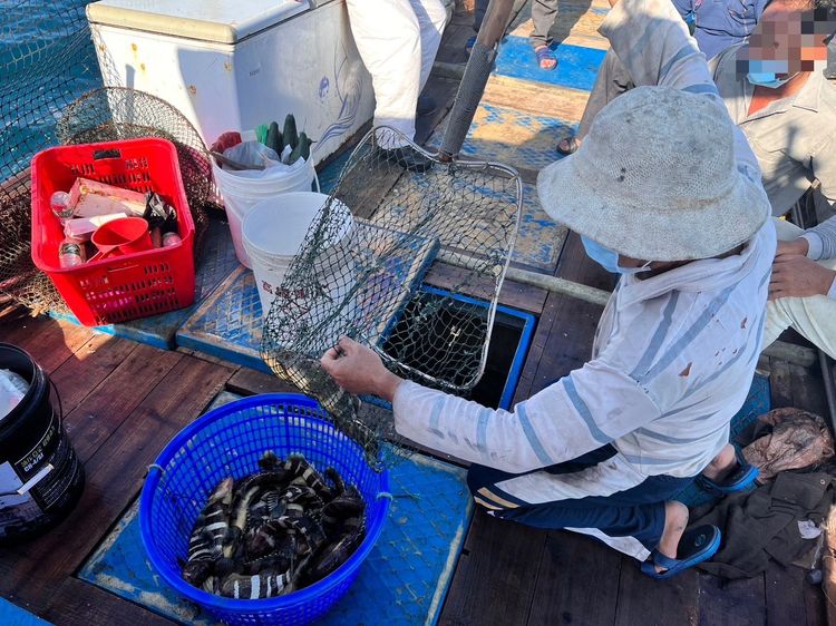 越界中國漁船上起出的魚獲。澎湖海巡隊提供