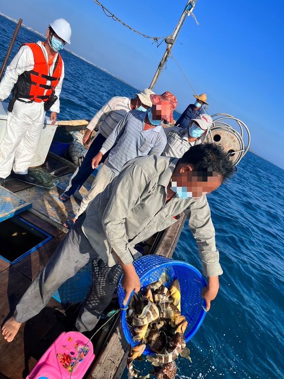 魚獲海拋。澎湖海巡隊提供