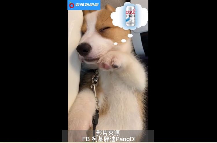 夢到在眼前，卻抓不到。