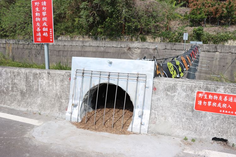 通道兩端架設柵欄，僅供石虎等小型哺乳類通過，降低犬殺。苗栗縣政府提供