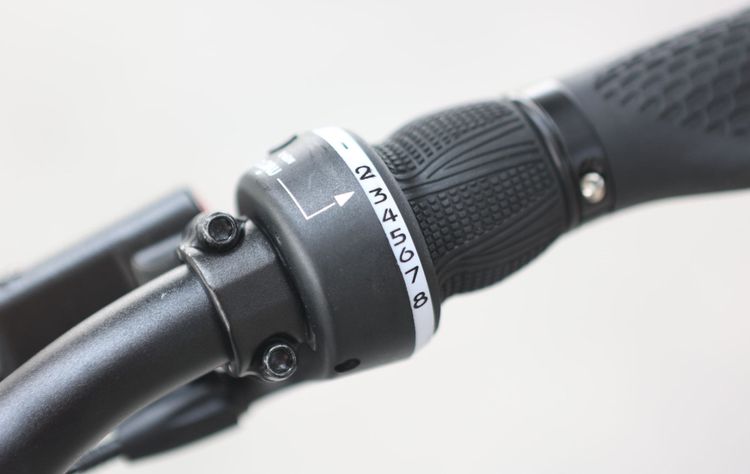 右側把手的八段變速裝置。翁玉信攝