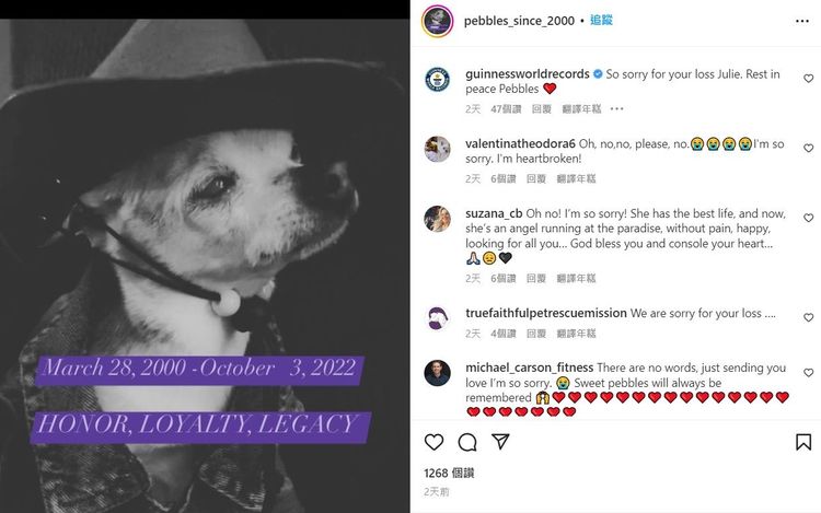 粉絲湧入「小石頭」的IG哀悼。翻攝IG/pebbles_since_2000