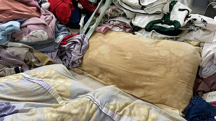 高嘉瑜多年未洗的枕頭曾經引發熱議。翻攝自高嘉瑜臉書