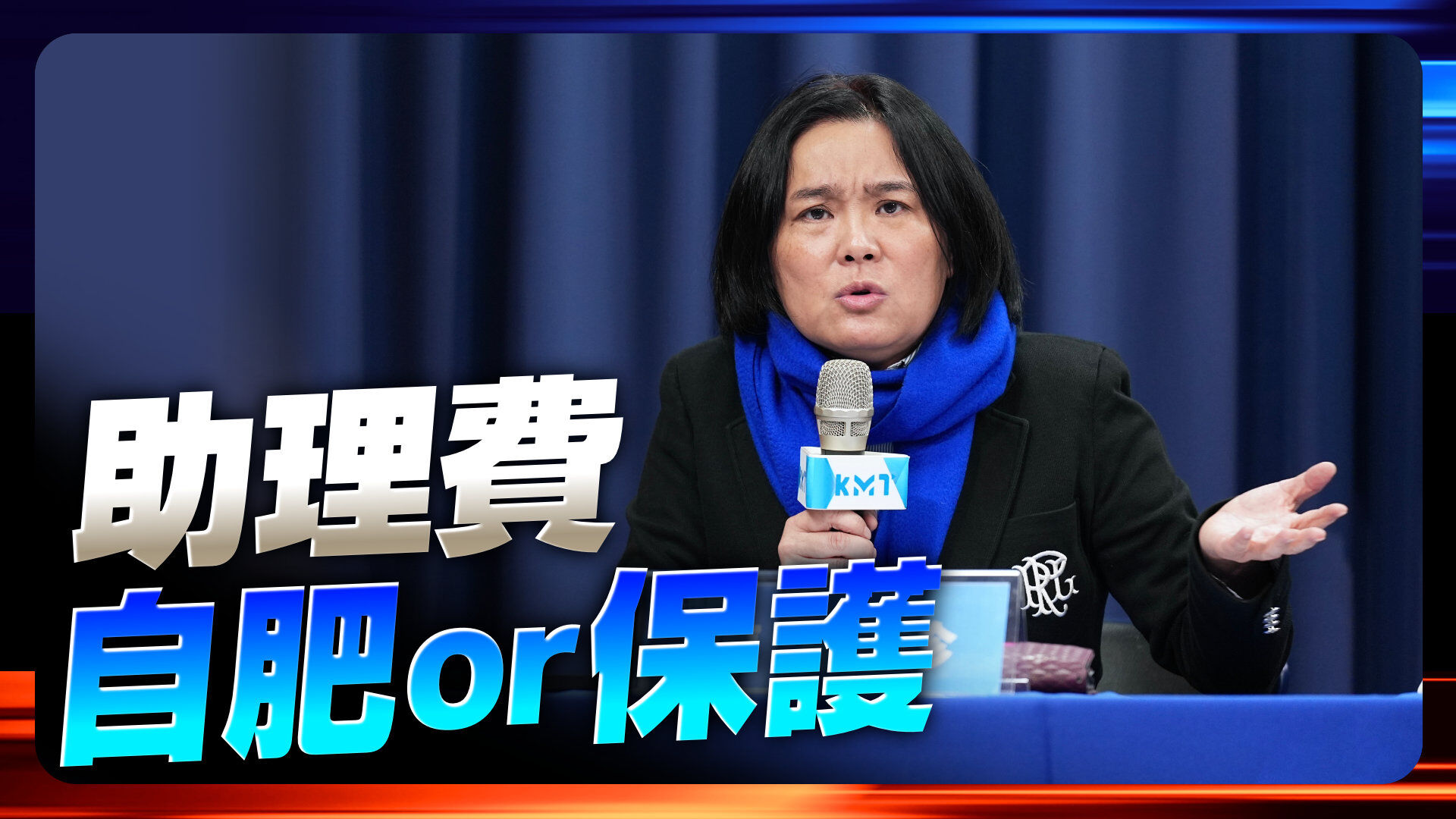 陈玉珍提案助理费除罪化