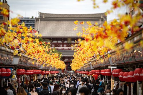 爆買潮再現日本 外國觀光客驚呼「太便宜!」