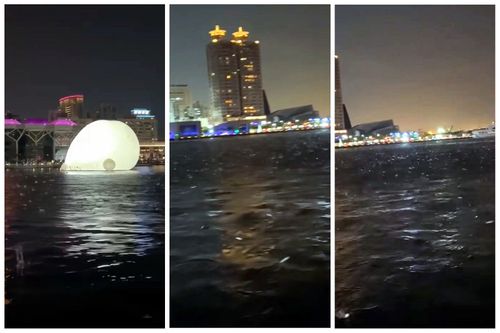 台東6.4強震撼全台 高雄愛河驚見「飛魚奇觀」