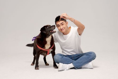 陳謙文慟失「愛子」痛哭失聲　引起警察關切勸不要想不開