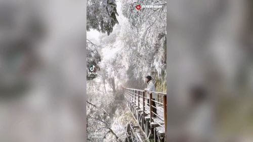 台灣四季分明！景色美不勝收　百聞不如一見
