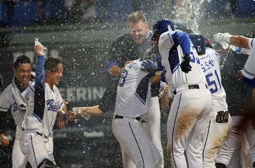 太神了!高國麟轟史上2支代打再見滿貫砲 富邦高家兄弟包了