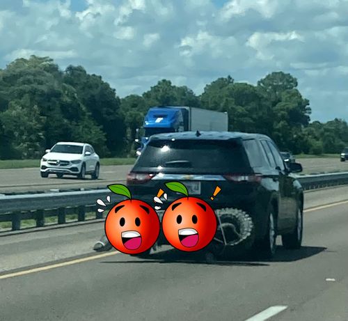 巨大鱷魚被對折綁後保桿　超狂汽車駕駛這樣上高速公路驚呆眾人！