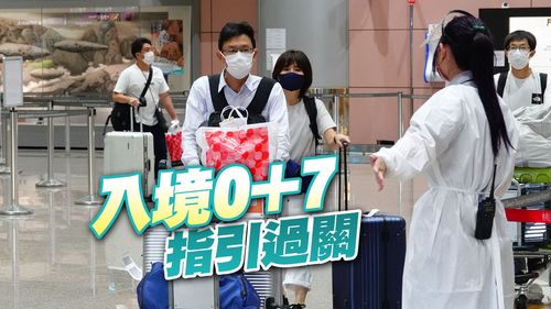 入境免篩跨一大步! 指揮中心通過「0+7」出入境團客指引