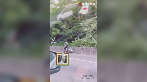 女騎士小綿羊勇闖國道? 被捕捉停路肩當低頭族!網笑:不用導航了