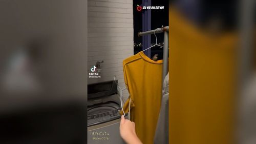 「啾」竟有什麼事嗎？　曬衣遇麻雀湊熱鬧！她甜喊：拜託下去喇～