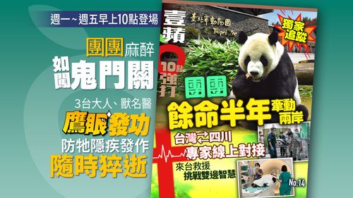 獨家追蹤|團團餘命半年牽動兩岸!台灣四川專家對接 來台救援挑戰雙邊智慧
