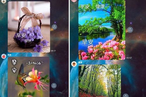 受不了長輩早安圖?她好奇問阿嬤原因 答案竟有洋蔥!釣出一排網友頻點頭