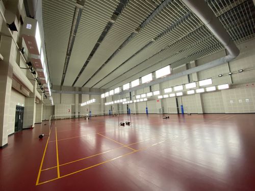 跟新竹棒球場一樣花12億！八德運動中心品質引關注　桃市府說話了