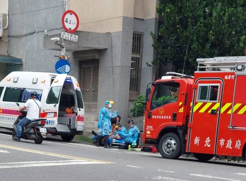 新北動保處委外摘除蜂窩　警戒人員遭蜂螫險喪命